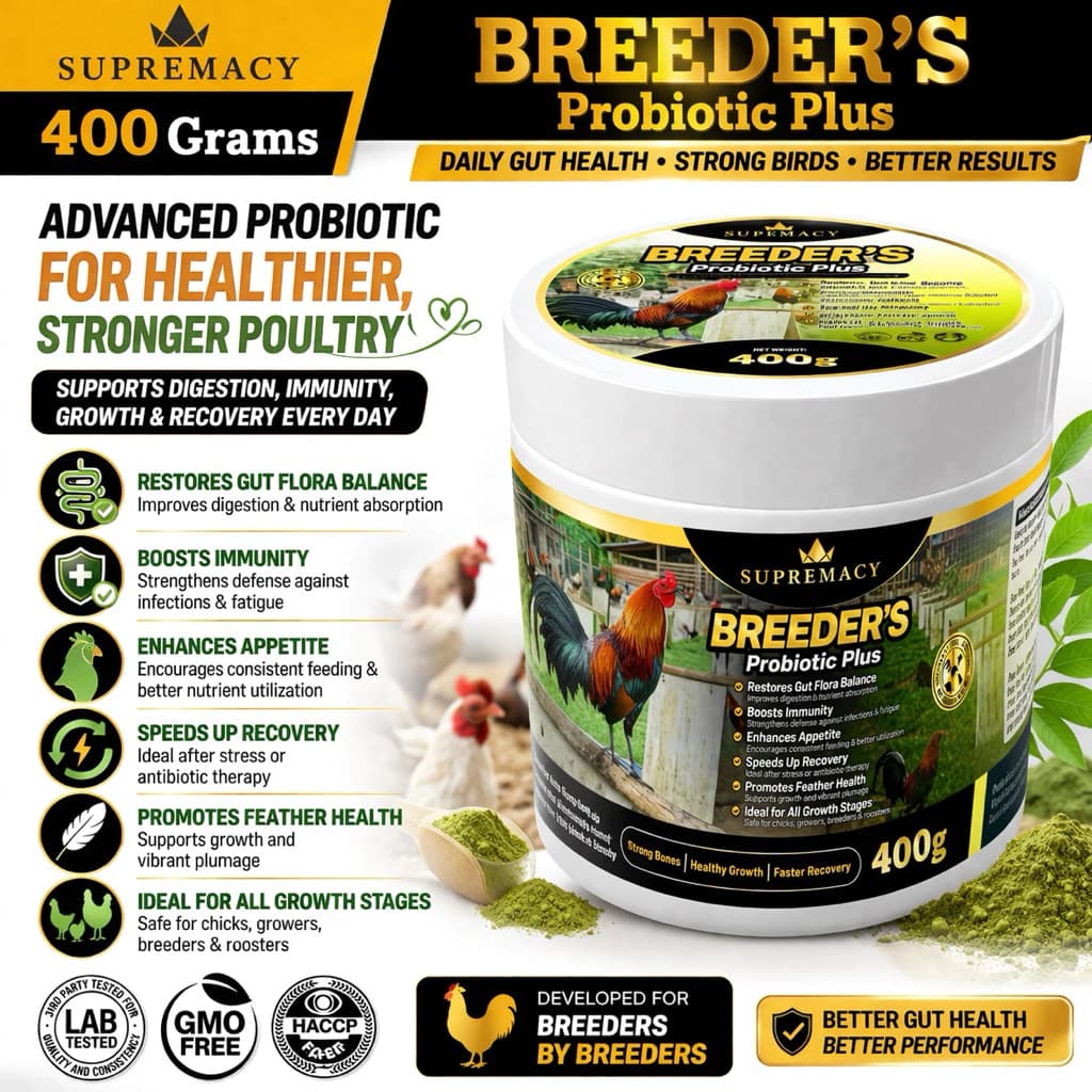 Supremacy Breeders Probiotics Plus for Roosters Strong Bones Healthy Growth Faster Recovery rooster