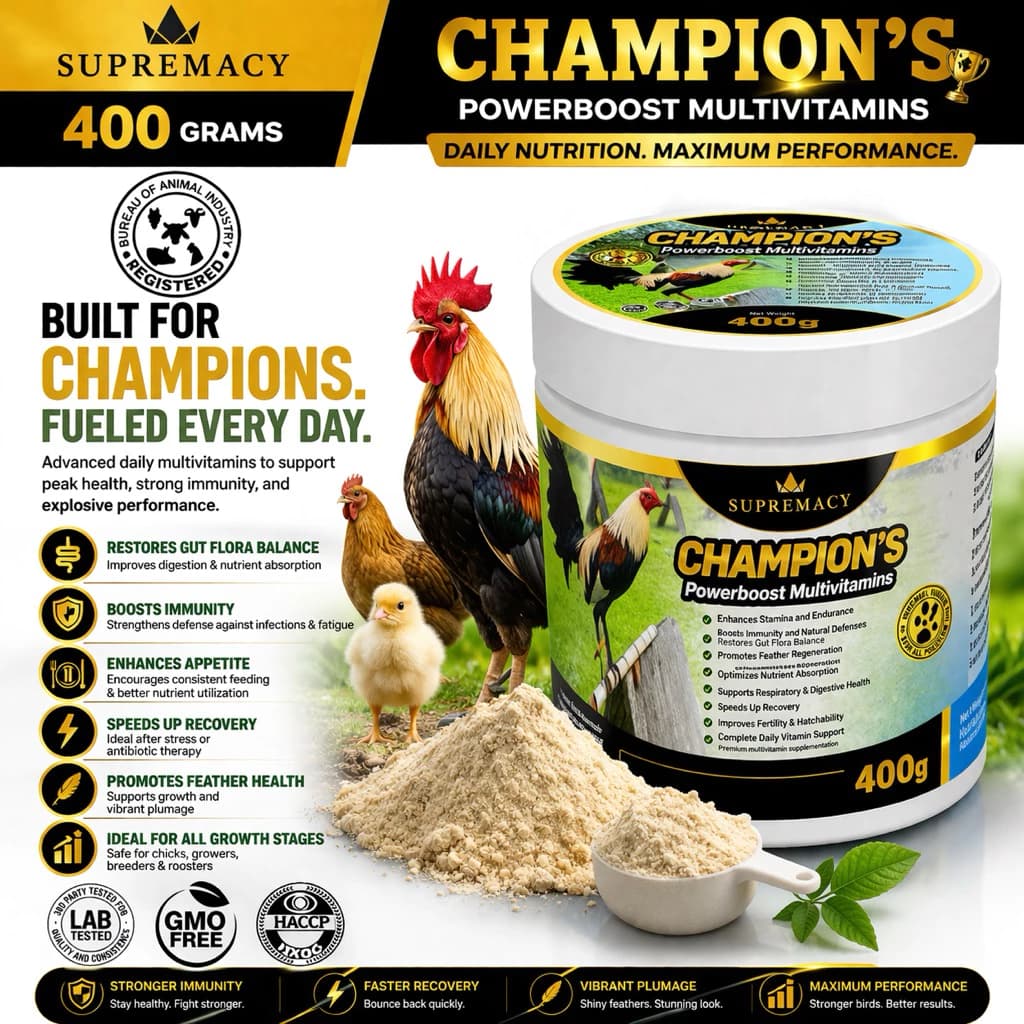Supremacy Champion Power Boost Multivitamins For Roosters Stronger Faster Unstoppable Boost Rooster