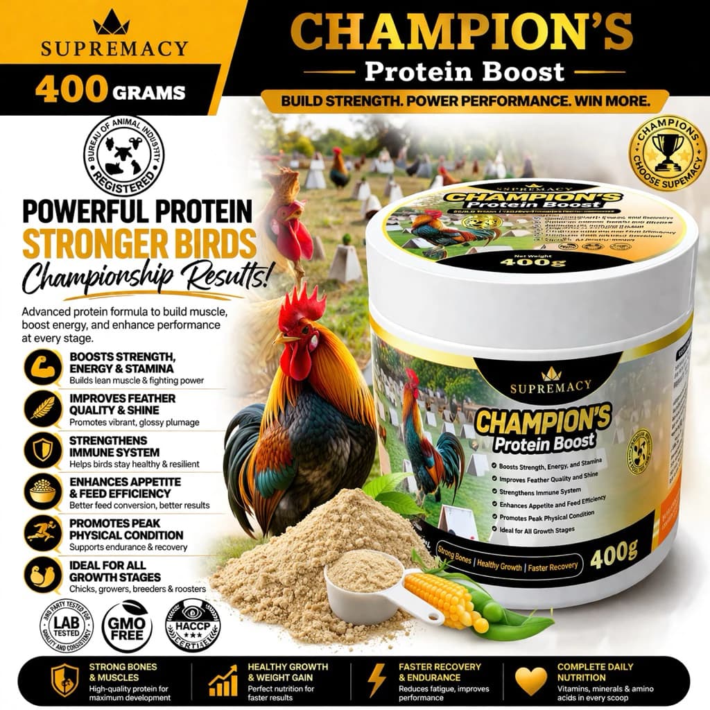 Supremacy Champion Protein Boost For Roosters Strong Bones Healthy Growth Faster Recovery Rooster