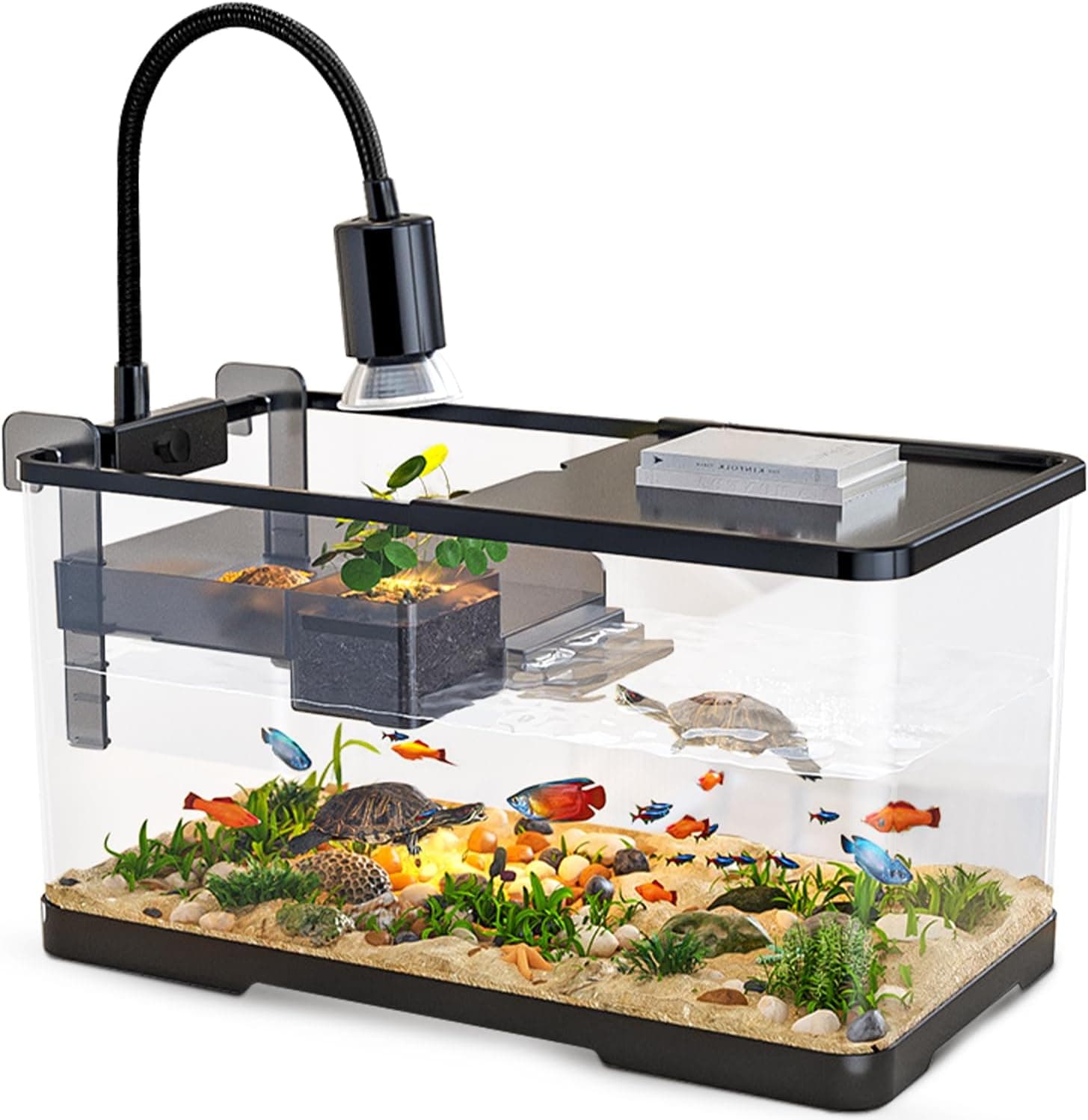 Aquarium(Large)