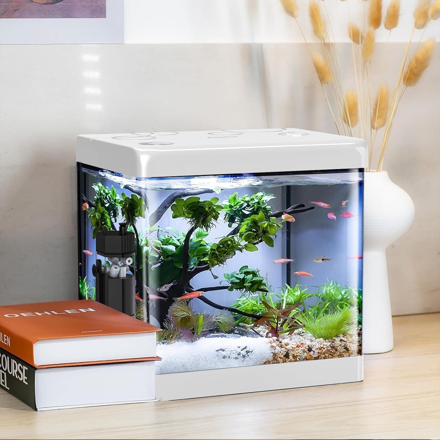 Aquarium(Medium)