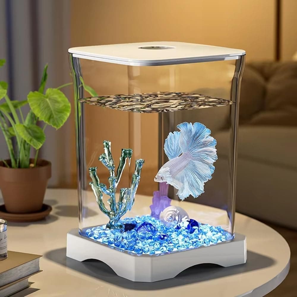 Aquarium(Small)